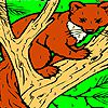 Play Fox on the tree coloring