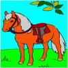Play horse coloring