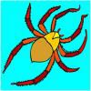 Play spider coloring