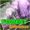 Play Forest Differences