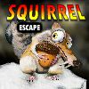Play Ena Squirrel Escape