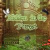 Play Hidden in the Forest