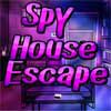 Play Spy House Escape