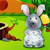Cute Bunny Day Care A Free Education Game