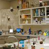 Play Clinical Laboratory Objects