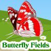 Butterfly Fields A Free Puzzles Game