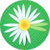 Daisy Petals A Free Strategy Game